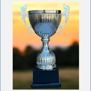 Copa Metálica Beville color Plata