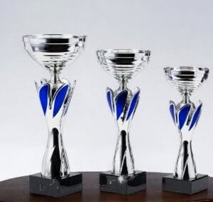 Copa Metálica Flor Plata y Azul