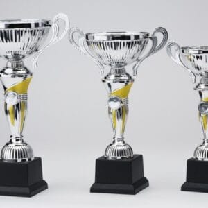 Copa Metálica Plata con Oro STL2019/6