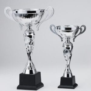 Copa Metálica Plata STL2019/16