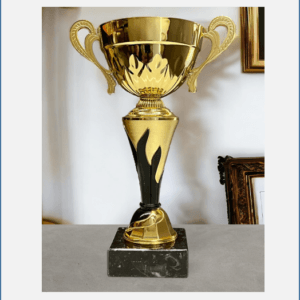 Copa Metálica Oro con Negro Roxana