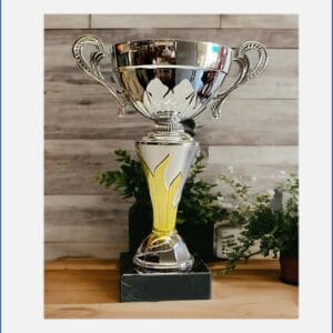 Copa Metálica Plata con Oro Roxana