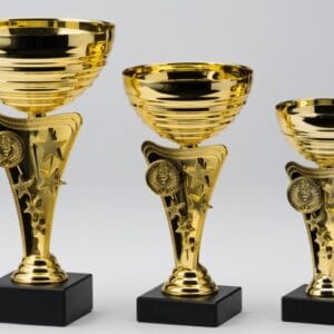 Copa Metálica Tanguer Oro