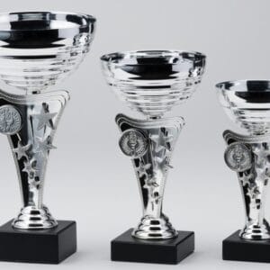 Copa Metálica Tanguer Plata