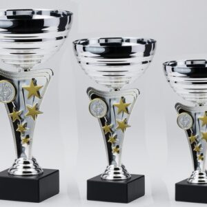 Copa Metálica Tanguer Plata con Oro