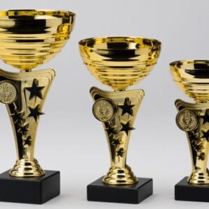 Copa Metálica Tanguer Oro con Negro