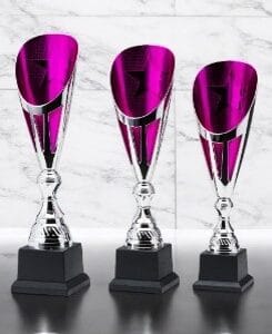 Copa Plástica Belcan Plata con Rosa