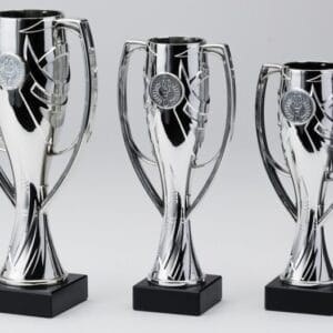 Copa Plástica Plata