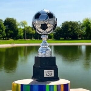 Trofeo Sealy 54.61 cms